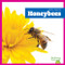 Honeybees - 9798896623953 by Genevieve Nilsen, 9798896623953