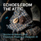 Echoes from the Attic (Stories of Slavery and Freedom-Making in Newport, RI) by Akeia de Barros Gomes, 9781917273244
