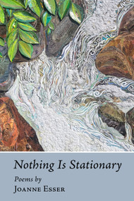 Nothing Is Stationary by Joanne Esser, 9781666406986