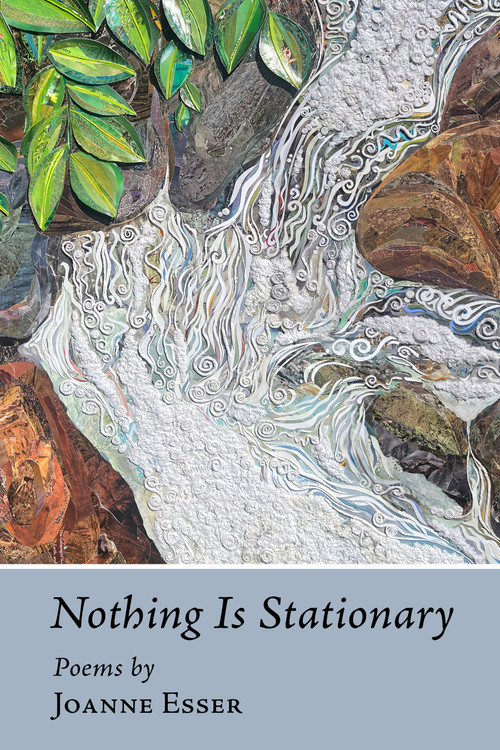 Nothing Is Stationary by Joanne Esser, 9781666406986