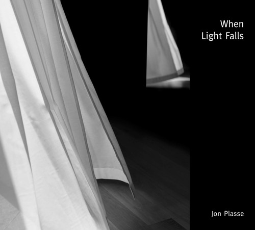 When Light Falls by Jon Plasse, 9781954119536