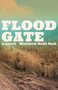 Floodgate - 9781958888766 - 9781958888766 by Matthew Neill Null