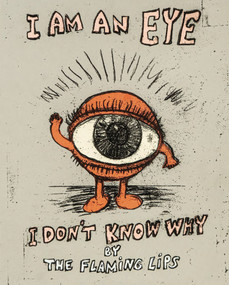 I Am an Eye I Don't Know Why by Wayne Coyne, 9798992483826