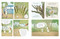 Pia in the Forest by David Bruggink, David Bruggink, 9780823461608