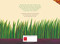 Don't Crawl! by Shideh Sekhavati, Shideh Sekhavati, 9798890631640