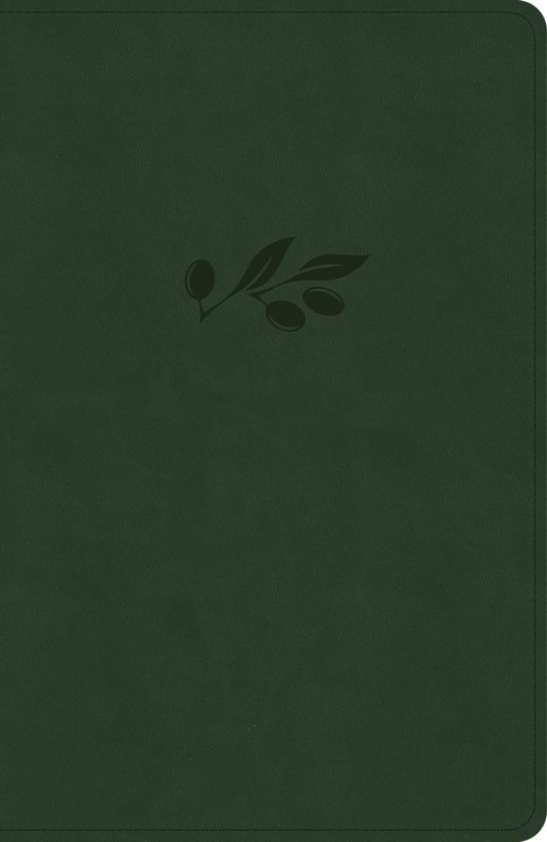 NASB Verse-by-Verse Reference Bible, Olive LeatherTouch by Holman Bible Publishers, 9798384546108