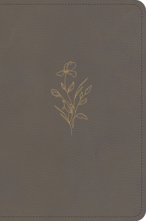 KJV Large Print Compact Reference Bible, Clay LeatherTouch by Holman Bible Publishers, 9798384546122