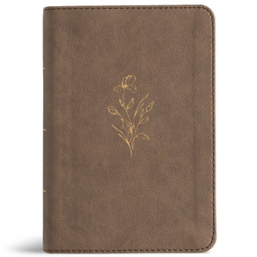 KJV Large Print Compact Reference Bible, Clay LeatherTouch by Holman Bible Publishers, 9798384546122