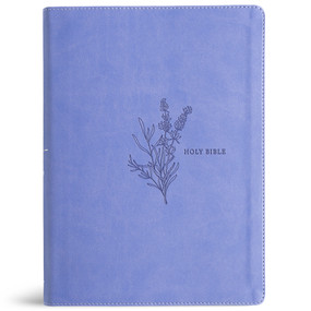 KJV Study Bible, Full-Color, Lavender LeatherTouch by Holman Bible Publishers, 9798384546191