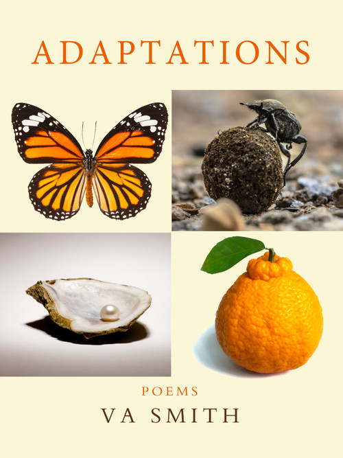 Adaptations (poems) by VA Smith, 9798991413473