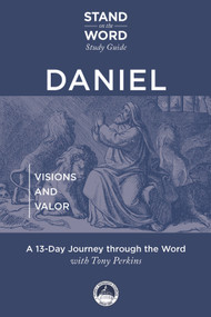 Daniel (Visions and Valor) by Tony Perkins, 9798992418651