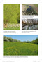 This is not my land (30 Years on a Small Cotswolds Farm) by Caroline Mills, 9781804693476