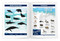Arctic Wildlife Nature Activity Book (Games, Puzzles, Fun Facts) by J.M. Kavanagh, 9781620057124
