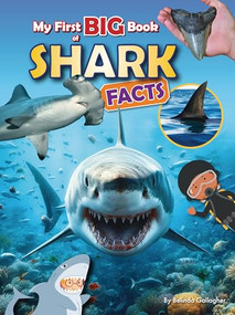 My First Big Book of Shark Facts by Belinda Gallagher, 9781788565134