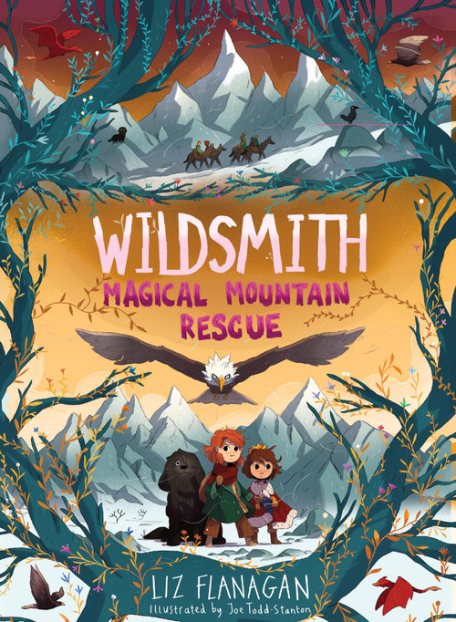 Magical Mountain Rescue by Liz Flanagan, Joe Todd-Stanton, 9781454957607