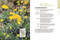 Eastern Washington and Oregon in Bloom (Find and Identify the 150 Most Common Wildflowers) by Ellen Kuhlmann, Mark Turner, 9781643263694