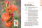 Eastern Washington and Oregon in Bloom (Find and Identify the 150 Most Common Wildflowers) by Ellen Kuhlmann, Mark Turner, 9781643263694