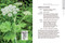 Western Washington and Oregon in Bloom (Find and Identify the 150 Most Common Wildflowers) by Ellen Kuhlmann, Mark Turner, 9781643263717