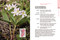 Western Washington and Oregon in Bloom (Find and Identify the 150 Most Common Wildflowers) by Ellen Kuhlmann, Mark Turner, 9781643263717