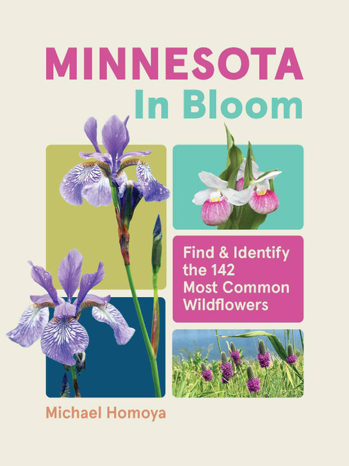 Minnesota in Bloom (Find and Identify the 142 Most Common Wildflowers) by Michael Homoya, 9781643264608