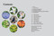 Minnesota in Bloom (Find and Identify the 142 Most Common Wildflowers) by Michael Homoya, 9781643264608