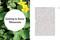 Minnesota in Bloom (Find and Identify the 142 Most Common Wildflowers) by Michael Homoya, 9781643264608
