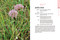 Minnesota in Bloom (Find and Identify the 142 Most Common Wildflowers) by Michael Homoya, 9781643264608