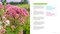 Plant by Number (Design Your Dream Garden with 24 Easy, Step-by-Step Planting Plans) by Stacy Tornio, 9781643265100