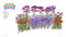 Plant by Number (Design Your Dream Garden with 24 Easy, Step-by-Step Planting Plans) by Stacy Tornio, 9781643265100
