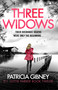 Three Widows (An unputdownable crime thriller with a jaw-dropping twist) by Patricia Gibney, 9781836186533