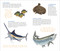 The Perfect Catch of Tattoo Fish (50 Temporary Tattoos that Teach) by Philip Schmidt, Jennifer Clausen, 9798897080144
