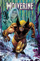 Wolverine by Saladin Ahmed Vol. 3: Mutant Protector by Saladin Ahmed, Martin Coccolo, Mike Henderson, Dan Panosian, 9781302960896