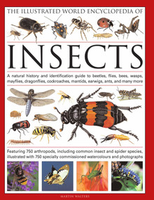 The Illustrated World Encyclopedia of Insects by Martin Walters, 9780754819097