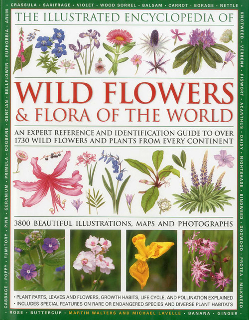 Illustrated Encyclopedia of Wild Flowers & Flora of the World by Michael Lavelle, Martin Walters, 9780754819721