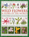 Illustrated Encyclopedia of Wild Flowers & Flora of the World by Michael Lavelle, Martin Walters, 9780754819721