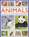 A Masterclass in Drawing and Painting Animals (Wildlife, pets, reptiles, birds, fish and insects) by Jonathan Truss, Sarah Hoggett, 9780754820598