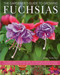 Gardener's Guide to Growing Fuchsias by John Nicholass, 9780754823445