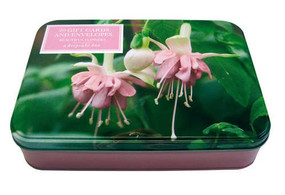Beautiful Flowers (A keepsake box: 20 gift cards and envelopes) by Peony Press, 9780754825050