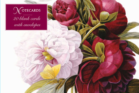Card Box of 20 Notecards and Envelopes: Redoute Peony (A delightful pack of high-quality fine-art gift cards and decorative envelopes.) by Peony Press, 9780754825876