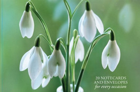 Card Box of 20 Notecards and Envelopes: Snowdrop (A delightful pack of 20 high-quality flower gift cards and decorative envelopes) by Peony Press, 9780754825883