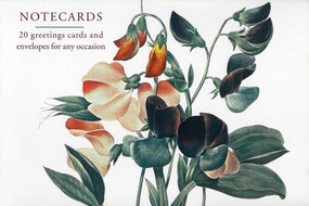 Card Box of 20 Notecards and Envelopes: Sweetpea (A fabulous collection of 20 cards and) by Peony Press, 9780754825890