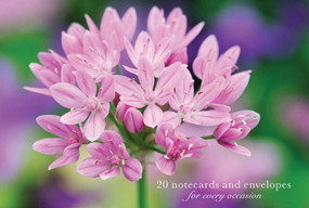 Card Box of 20 Notecards and Envelopes: Allium (A delightful pack of high-quality flower gift cards and decorative envelopes.) by Peony Press, 9780754825951