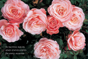 Card Box of 20 Notecards and Envelopes: Roses (A delightful pack of high-quality flower gift cards and decorative envelopes) by Peony Press, 9780754825975