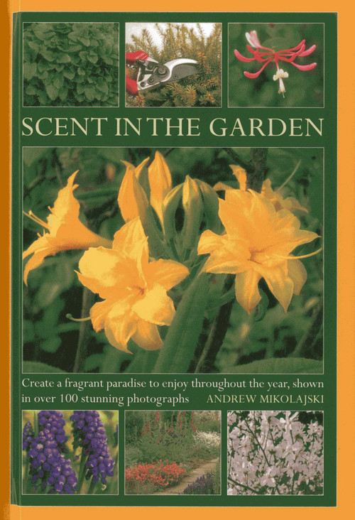 Scent in the Garden (Create a Fragrant Paradise to Enjoy Throughout the Year, Shown in 100 Stunning Photographs) by Andrew Mikolajski, 9780754827450