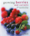 Growing Berries and Currants (A Directory Of Varieties And How To Cultivate Them Successfully) by Richard Bird, Kate Whiteman, 9780754830955