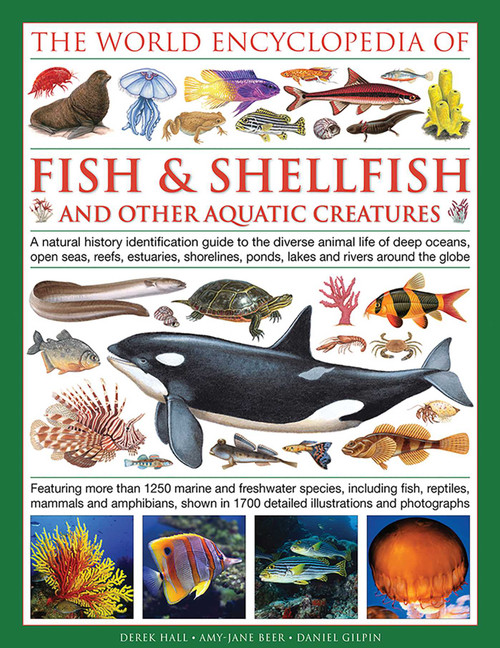 The Illlustrated Encyclopedia of Fish & Shellfish of the World by Derek Hall, Daniel Gilpin, Mary-Jane Beer, 9780754833581
