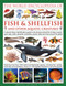 The Illlustrated Encyclopedia of Fish & Shellfish of the World by Derek Hall, Daniel Gilpin, Mary-Jane Beer, 9780754833581