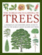 The World Encyclopedia of Trees (A Reference and Identification Guide to 1300 of the World's Most Significant Trees) by Tony Russell, Catherine Cutler, Martin Walters, 9780754834755