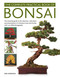 The Complete Practical Book of Bonsai by Ken Norman, 9780754834854
