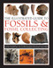 The Illustrated Guide to Fossils & Fossil Collecting by Steve Parker, 9780754834892
